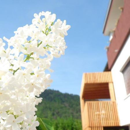 B&B Casa Sul Lago - Appartamenti Calceranica al Lago Δωμάτιο φωτογραφία