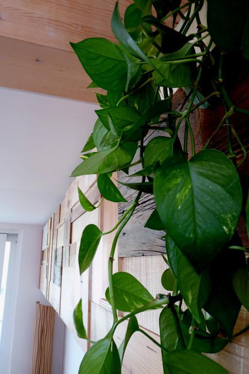 B&B Casa Sul Lago - Appartamenti Calceranica al Lago Δωμάτιο φωτογραφία