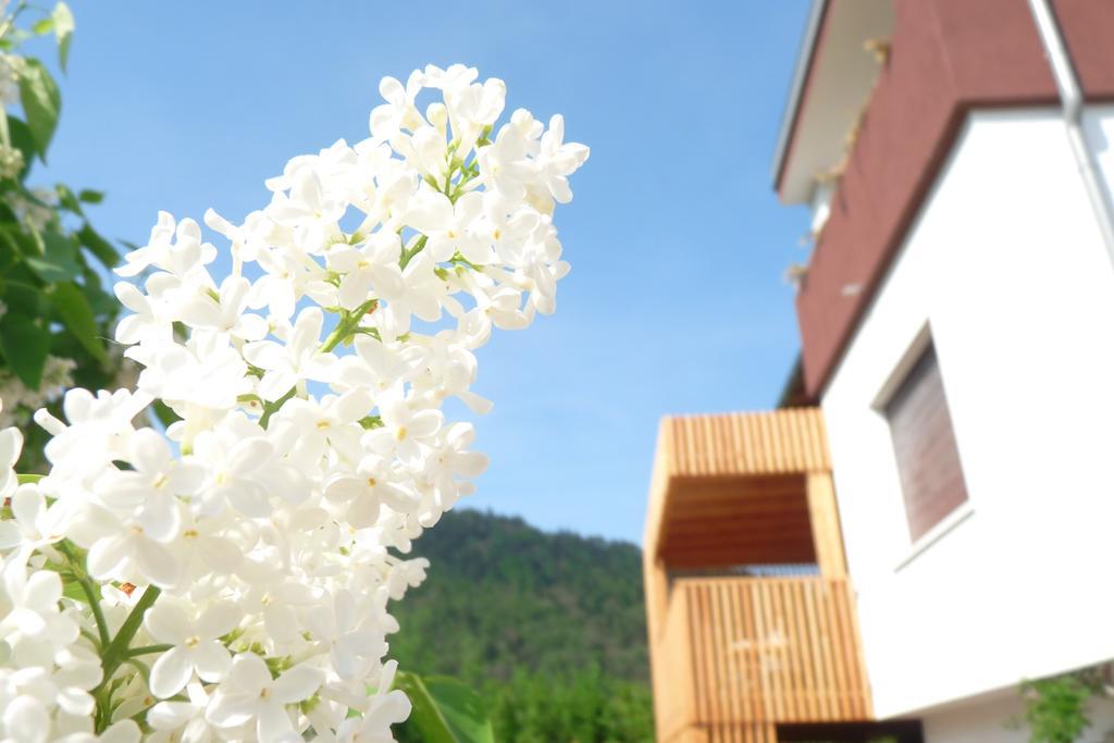 B&B Casa Sul Lago - Appartamenti Calceranica al Lago Δωμάτιο φωτογραφία