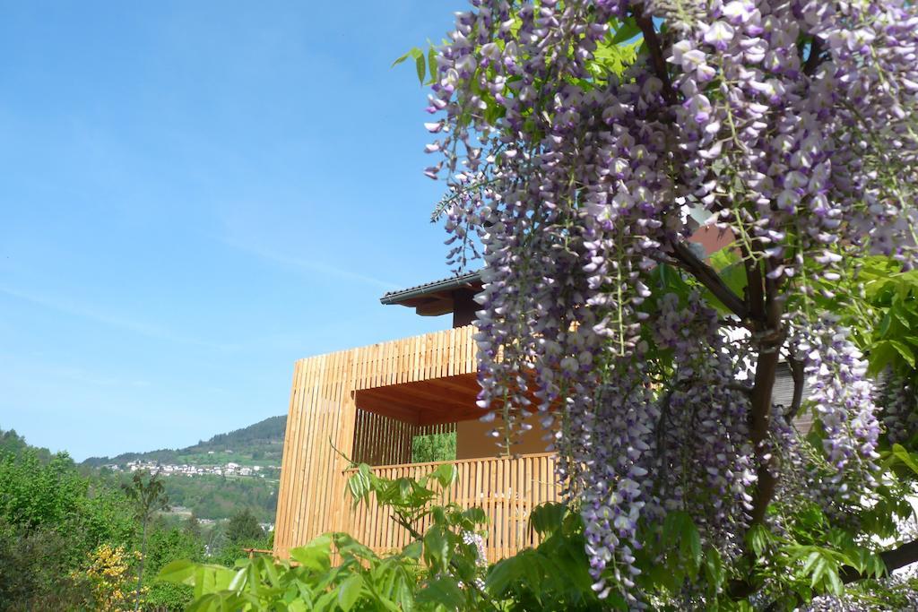 B&B Casa Sul Lago - Appartamenti Calceranica al Lago Εξωτερικό φωτογραφία
