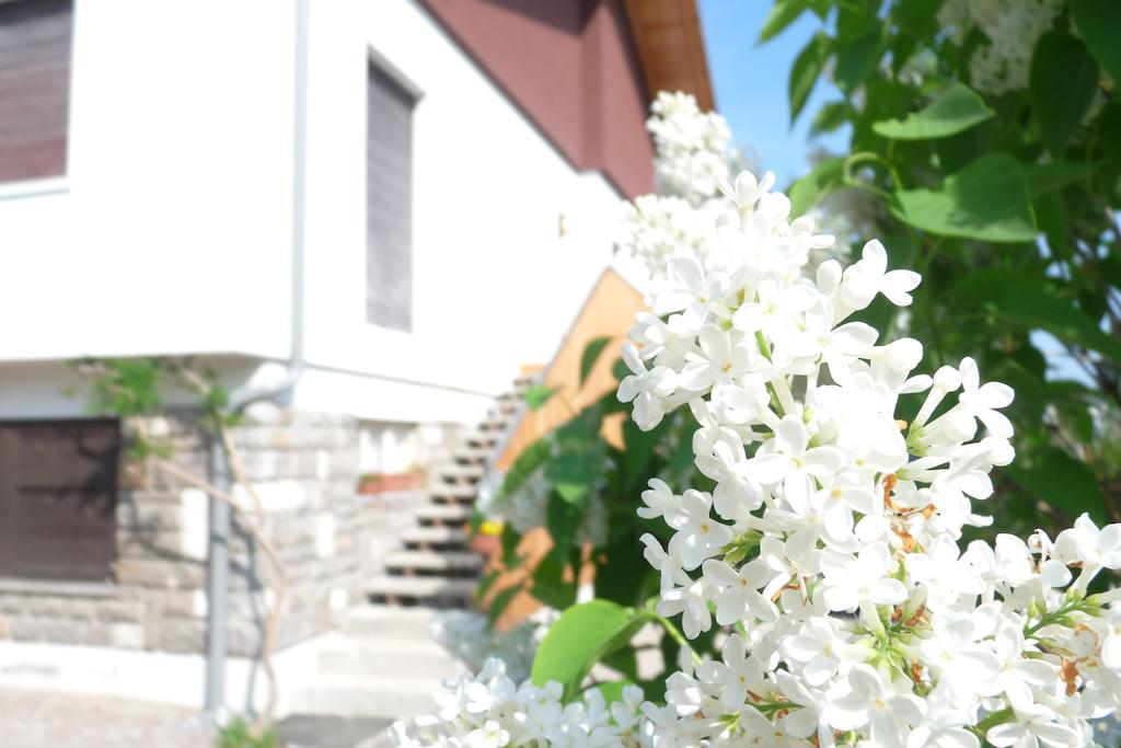 B&B Casa Sul Lago - Appartamenti Calceranica al Lago Εξωτερικό φωτογραφία